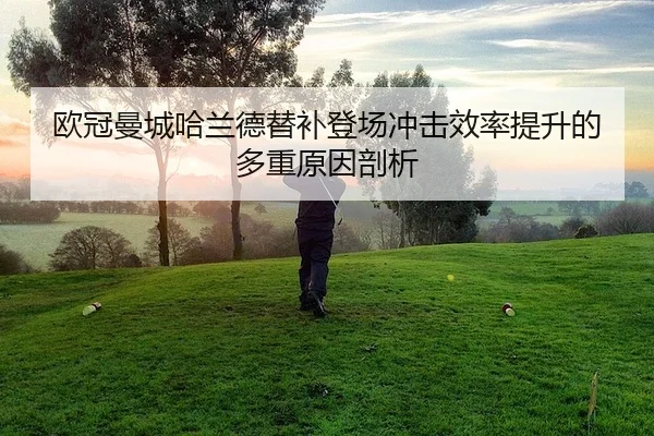 ou-guan-man-cheng-ha-lan-de-ti-bu-deng-chang-chong-ji-xiao-lv-ti-sheng-de-duo-zhong-yuan-yin-pou-xi-2-921.jpg